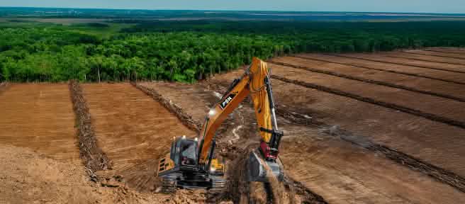 Excavadoras en terrenos deforestados. La selva al fondo está amenazada.