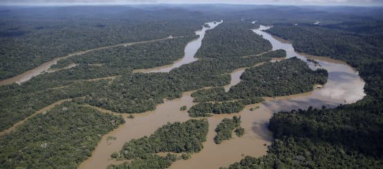 El río Jamanxim y sus ramales serpentean por la selva tropical del estado de Pará (© Felipe Werneck/Ibama/CC BY-SA2.0) Vista aérea del paisaje fluvial en la selva amazónica