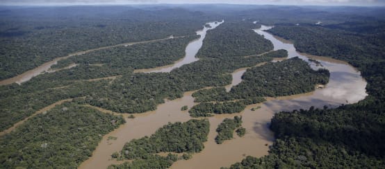 Vista aérea del paisaje fluvial en la selva amazónica