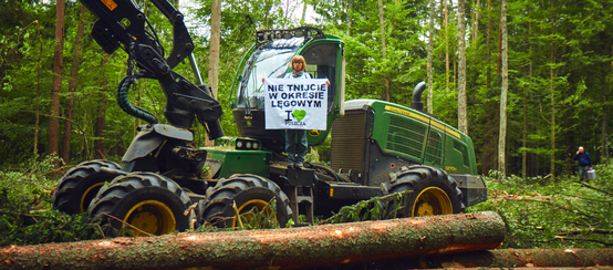 Protesta contra la tala del bosque de Bialowieza en Polonia