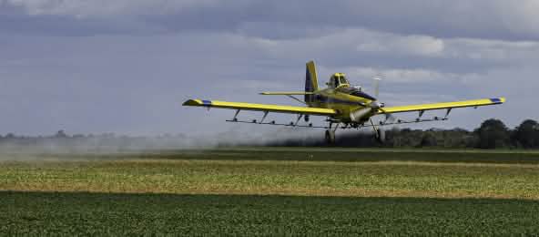 Un avión de hélice rocía un campo de soja con pesticidas desde el aire