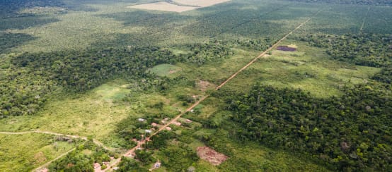 Vista aérea de una pequeña comunidad a lo largo de un camino recto y detrás las plantaciones de palma aceitera van avanzando y disminuyendo la selva tropical.