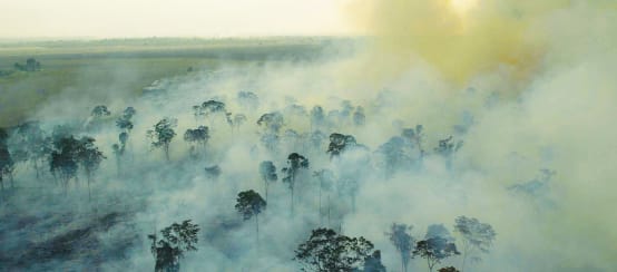 Incendio forestal