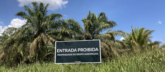 Delante de una plantación de palma aceitera, c artel de la empresa Agropalma, en el que se lee “Entrada prohibida. Propiedad del grupo Agropalma”