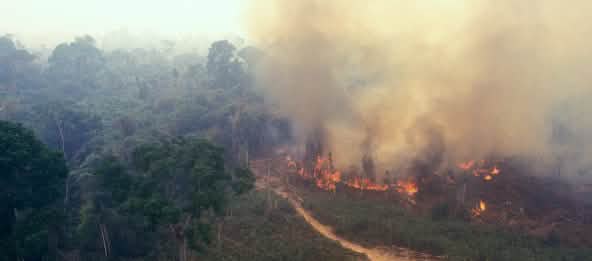 © Brasil2 / istockphoto.com Fuego en la Amazonía
