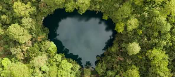 Una laguna en forma de corazón de aguas oscuras rodeada por una densa selva verde; vista desde arriba, se distingue claramente el contraste entre el agua y el bosque