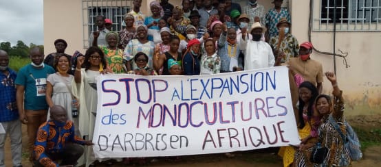 Grupo de personas afectadas protestan con una pancarta en la que se lee (en francés): “Detengan la expansión de los monocultivos de árboles en África”