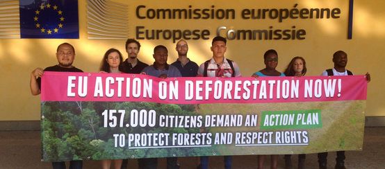 Entrega de firmas petición contra la deforestación en la Comisión Europea