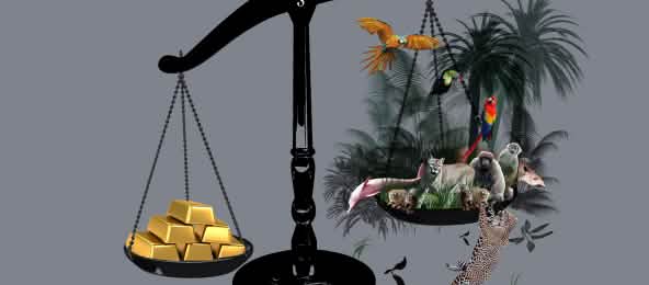 Balanza en la que se sopesa el oro frente a la selva, la cual sale perdiendo