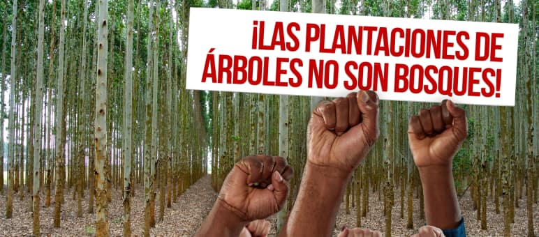 Collage del 21 de Septiembre, Día Internacional contra las Plantaciones de Árboles