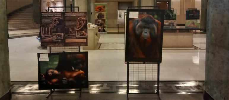 Fotos de la exposición ‘Cruces de Miradas’ en la sala Clara Campoamor del Congreso de los Diputados español