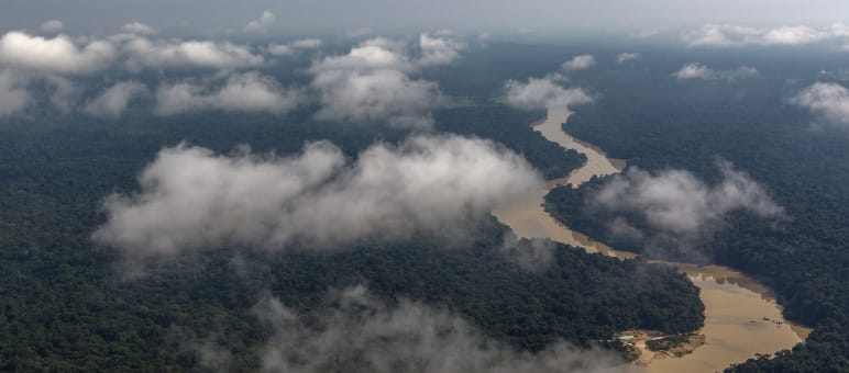 Selva amazónica en el estado de Pará Vista aérea con nubes de un río serpenteando por la selva tropical amazónica