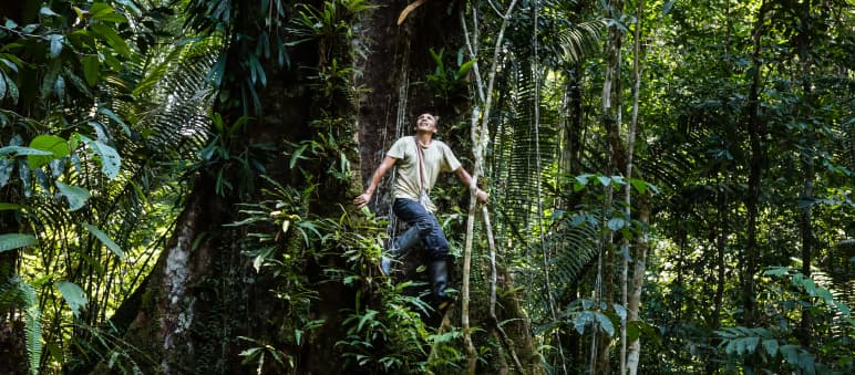 Francisco trepa a un árbol en la selva