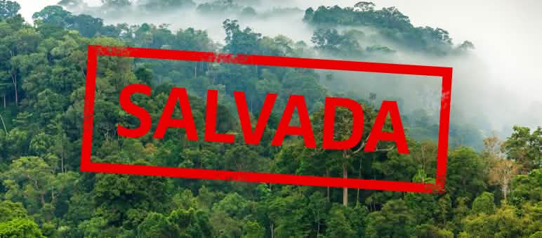 Esta selva está salvada por el momento Selva amazónica con la inscripción "salvada"