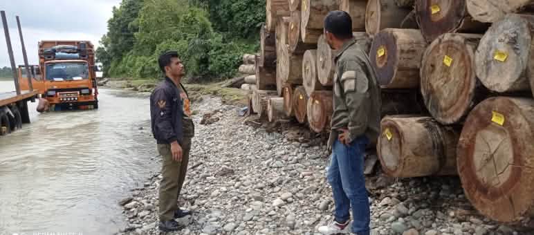 Dos hombres frente a una pila de troncos y un camión