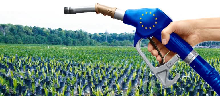 Aceite de palma, biocombustible UE