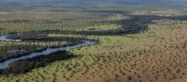 El cerrado de Brasil, vegetación y río, a vista de pájaro.