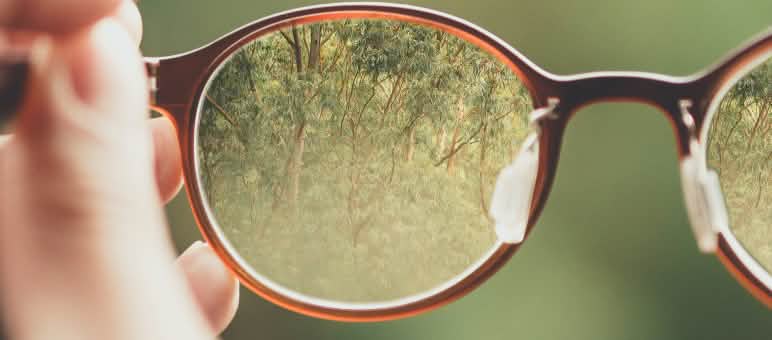 La transparencia genera confianza Gafas enfocando la selva con claridad