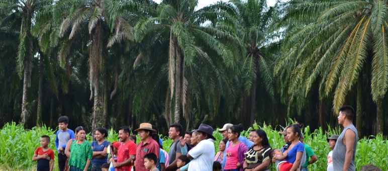 Grupo de personas de la comunidad Chapín Abajo frente a plantación de palma aceitera que rodea la comunidad