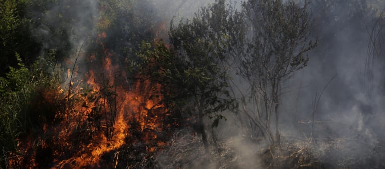Incendio en la provincia de Chaco, Argentina