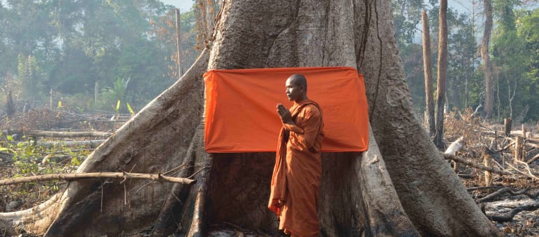 Monje de perfil, vestido de color naranja, con las manos en actitud de rezo, delante de un árbol del que cuelga una faja también de color naranja