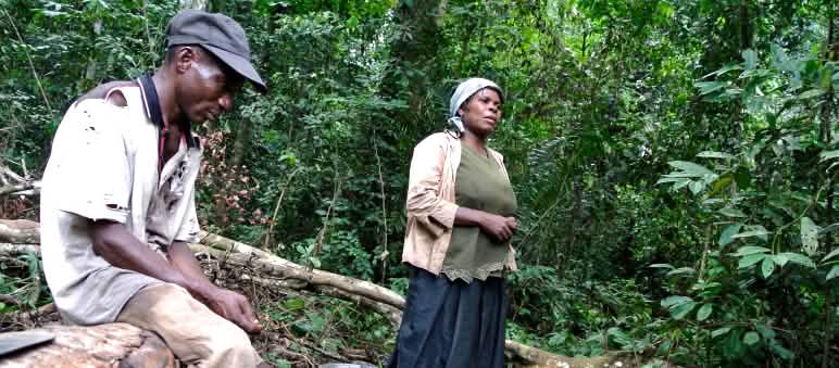 Ekuri afectados por el proyecto de la carretera Mujer de Nigeria cosecha mangos