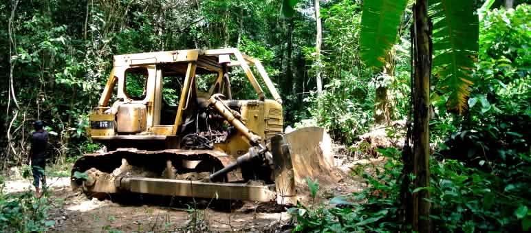 Bulldozer en el Parque Nacional Cross River