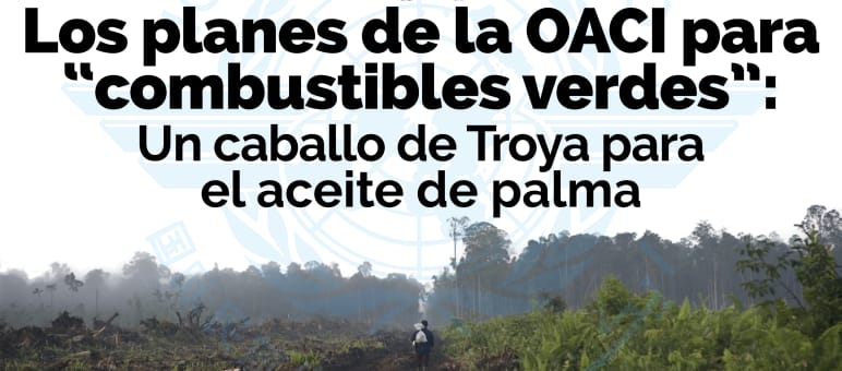 Los planes de OACI de biocombustibles a base de aceite de palma para la aviación