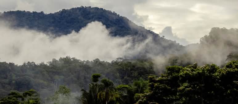 Paisaje de alta Amazonía en la provincia de Napo, Ecuador, amenazado por la continua expansión de la minería de oro