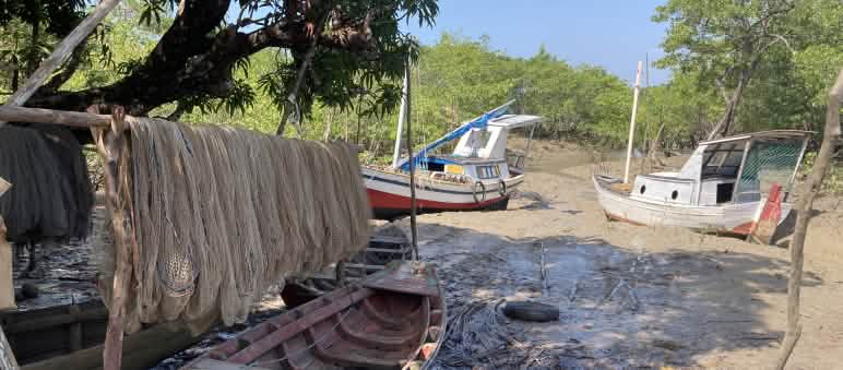 Barcos y redes de pesca colgados a secar en un manglar frente a la isla Cajual durante la marea baja