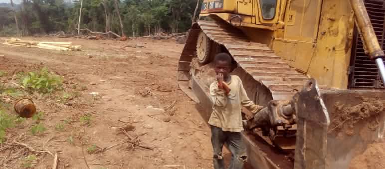 Bulldozer, Nigeria