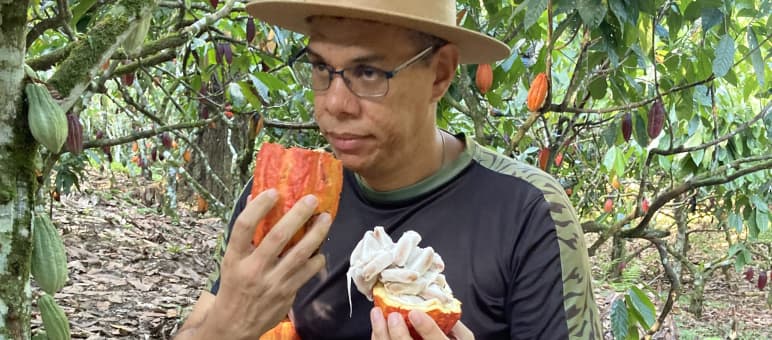 Un hombre huele un fruto de cacao abierto en un campo experimental de cultivo de cacao en sombra, en la selva tropical