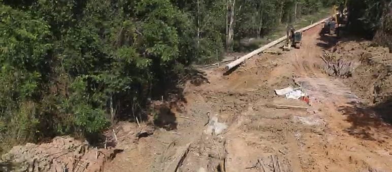Vista aérea de la deforestación para construir un mineroducto para transporte de bauxita
