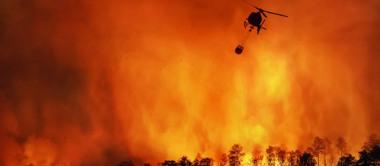 Incendio forestal