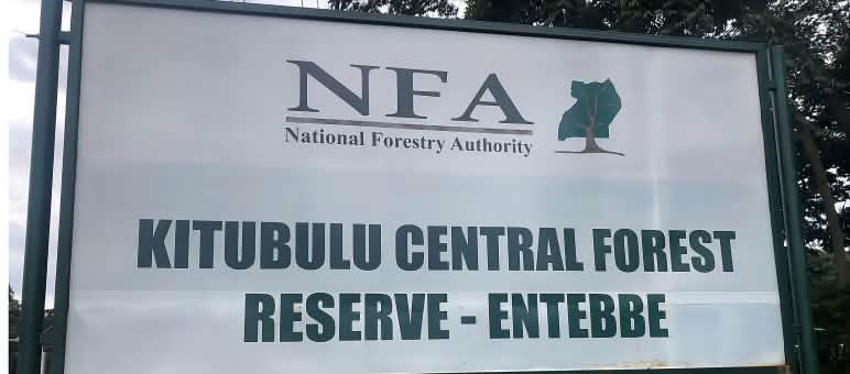 Señal que anuncia la Reserva Forestal Central de Kitubulu