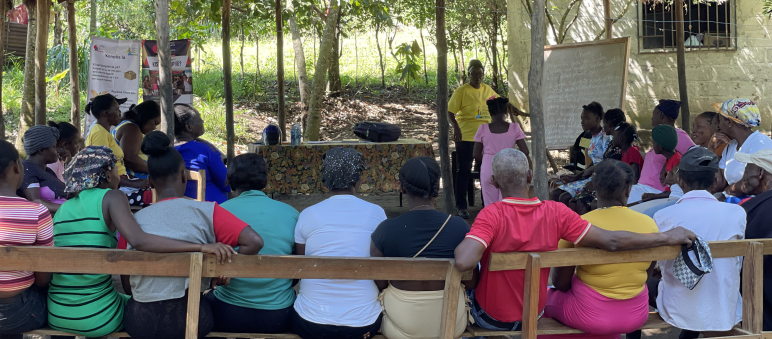 Varias personas sentadas de espaldas atienden las explicaciones impartidas durante un taller de comportaje en Haiti