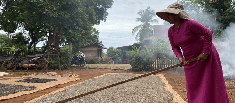 Utilizando una herramienta de palo largo, una mujer con un vestido color fucsia y un sombrero de ala ancha extiende una gran cantidad de granos de pimienta sobre una gran esterilla para que se sequen