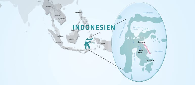 Mapa de Indonesia, destacando la isla de Sulawesi