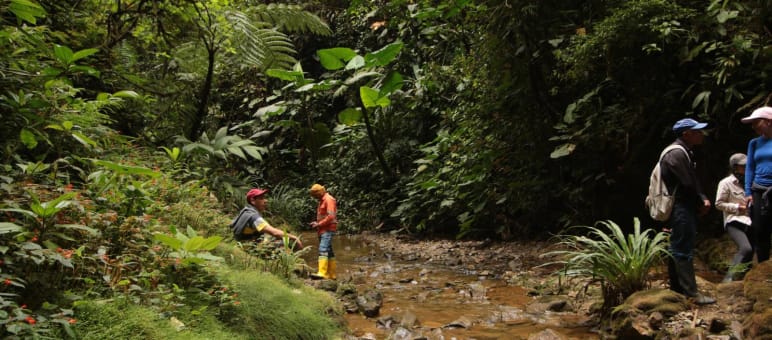 Varias personas se encuentran junto a un arroyo en la zona de Intag, Imbabura, Ecuador, amenazada de minería