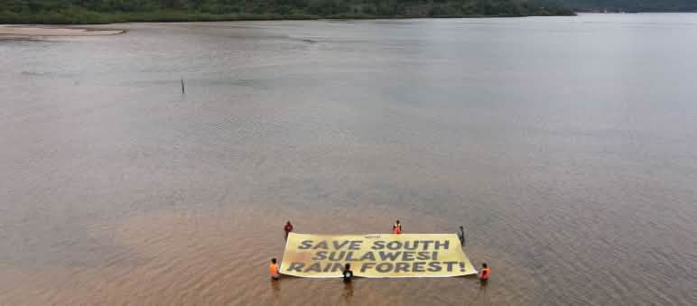 Pancarta con la leyenda (en inglés) “Salvar la selva de Sulawesi del Sur”