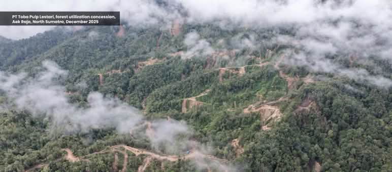 Foto de la selva tomada con dron
