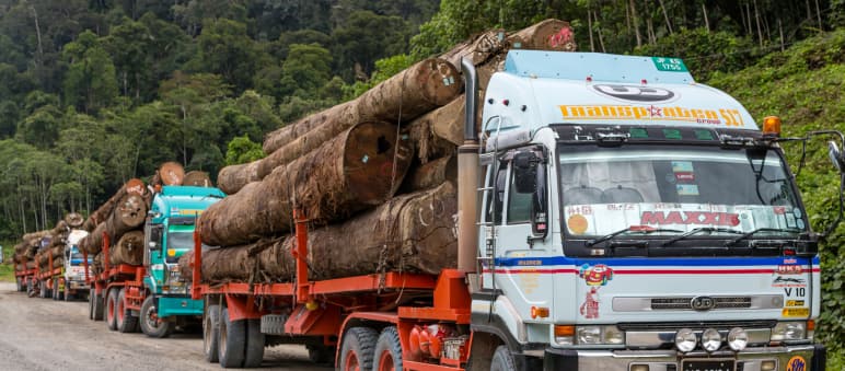 Transporte de madera en camiones en el distrito de Tawau en Sabah