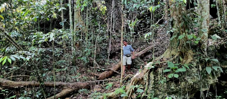 Un hombre camina por la selva