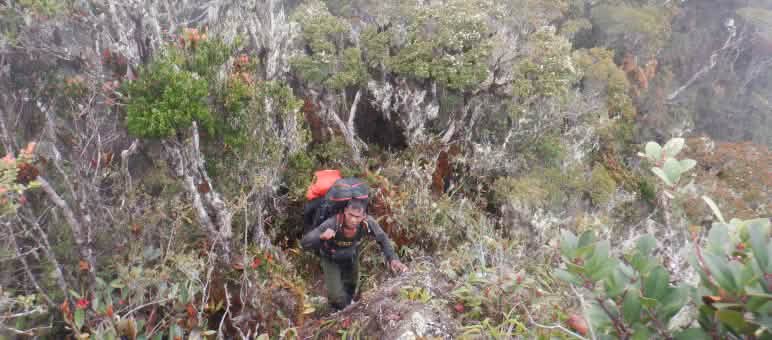 Un guarda forestal con una mochila en terreno escarpado