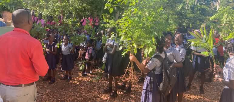 Alumnos plantan árboles en el marco de proyecto de reforestación de la Universidad Itinerante de la Resistencia, UNIR Haití