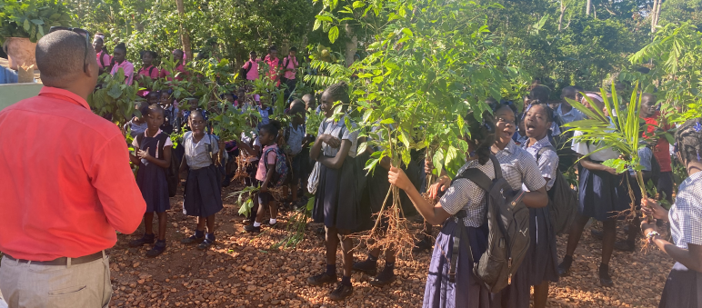 Alumnos plantan árboles en el marco de proyecto de reforestación de la Universidad Itinerante de la Resistencia, UNIR Haití