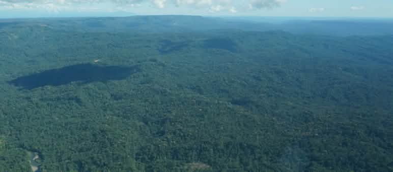 A vuelo de pájaro, el territorio indígena Sapara en la Amazonía Vista aérea del territorio indígena Sapara en la Amazonía, Ecuador