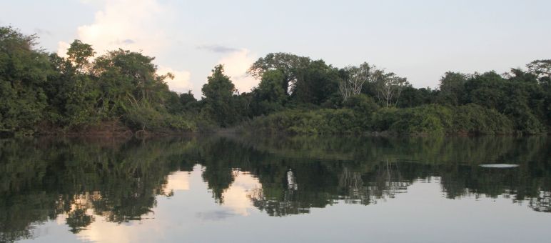 Vista del ecosistema en en Xingu, en la Amazonía de Brasil Río Xingu