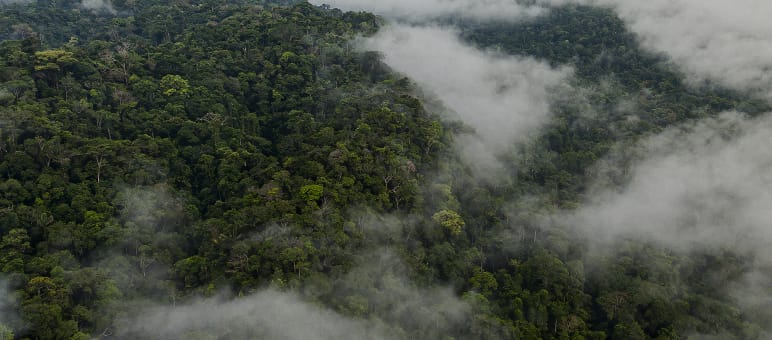 Vista aérea del Yasuní, salpicada de nubes
