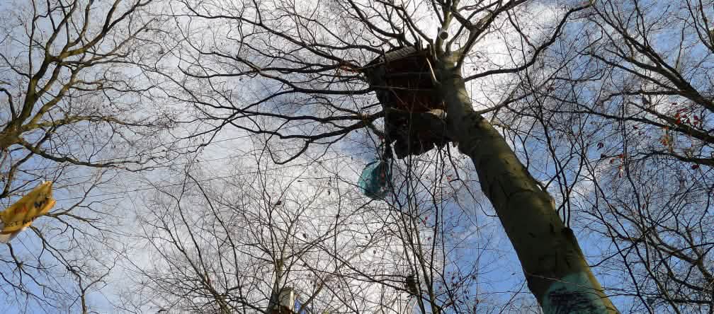 Casa del árbol en el bosque de Hambach